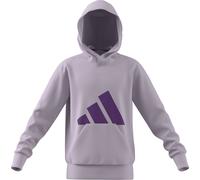 adidas Kinder Essentials Hoodie (Größe 176, lila)