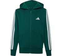 adidas Kinder Essentials Hoodie Jacke (Größe 164, gruen)