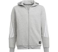 ADIDAS Kinder Future Icons 3-Streifen Kapuzenjacke (H44344) 128 MGREYH/WHITE