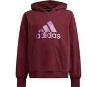 adidas Kinder Pullover Future Icons Logo Hoodie VICCRI/SONFUC 152