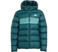 ADIDAS Kinder Jacke Kunstdaunen Kinder (JL7437) 176 Grün