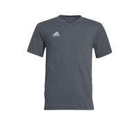 Adidas Kinder Jungen T-Shirt Entrada 22 (Grau, 128)