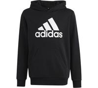 Adidas Kinder Essentials Big Logo Cotton Hoodie (Schwarz, Gr.: 176)