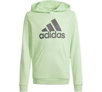 ADIDAS Kinder Kapuzensweat Big Logo Essentials Cotton (IS2591) 128 SEGRSP/CHACOA