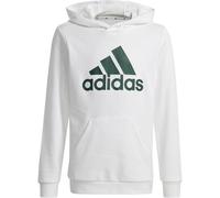ADIDAS Kinder Kapuzensweat Big Logo Essentials Cotton (IV7325) 128 Grau