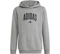 ADIDAS Kinder Kapuzensweat CODES COLLEGIATE GRAFIK (KA2989) 140 Grau