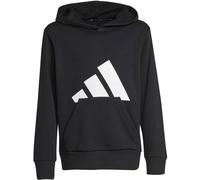 adidas Unisex Kids Essentials Big Logo Hoodie, Black/White, 11-12 Years