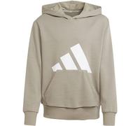 adidas Unisex Kinder Essentials Big Logo Hoodie, Putty beige/White, 11-12 Years