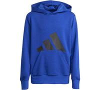 ADIDAS Kinder Kapuzensweat Essentials Kids (JC9674) 176 ROYBLU/BLACK