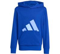 Adidas Hoodie Essentials Kinder JV9901 Kapuze Big Logo Größe 176 Team Royal/Glow Blau