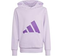 adidas Kinder Essentials Hoodie (Größe 176, lila)