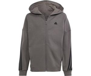 ADIDAS Kinder Kapuzensweat Future Icons 3-Streifen (IS4424) 152 CHACOA/BLACK