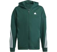 ADIDAS Kinder Kapuzensweat Future Icons 3-Streifen (IX3639) 176 CGREEN/WHITE