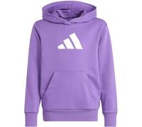 ADIDAS Kinder Kapuzensweat Glam Graphic Kinder (KE5470) 170 Lila