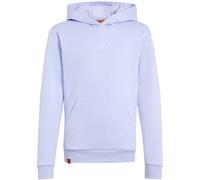 Adidas Minecraft Terrex Kapuzenpullover 15-16 Jahre Violet Tone