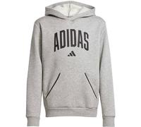 ADIDAS Kinder Kapuzensweat Seasonals Essentials Collegiate Typography Kids (JV7336) 140 MGREYH/BLACK