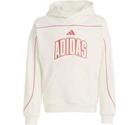 ADIDAS Kinder Kapuzensweat STADIUM HOODY MIT SCHRIFTZUG (KD3437) 176 OWHITE/PURRUB