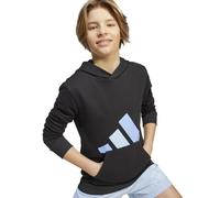 Adidas Kinder Kapuzensweatshirt/Hoodie J BL FT HD 280 176
