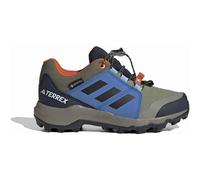 adidas Performance Terrex GTX Tent Green/Core Black/Ray Blue 36