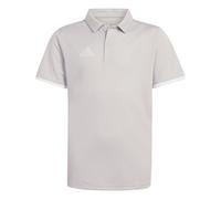 Adidas Poloshirt Entrada 26 Kinder Grau/Weiß Größe 164