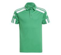 adidas Squadra Polo Kinder 116 Grün