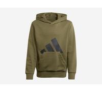 adidas Kinder Pullover Kapuzensweat Essentials OLISTR/BLACK 164