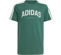 adidas Unisex Kinder Codes Collegiate Graphic T-Shirt, Collegiate Green, 9-10 Years