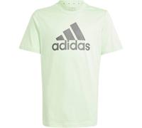 Adidas Essentials Big Logo Cotton T-Shirt Kinder T-Shirt, grün 140