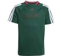 ADIDAS Kinder Shirt House of Tiro Kids (JW7417) 164 DRKGRN/WHITE/CBURGU