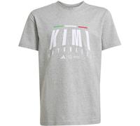 adidas Performance Mercedes AMG Petronas Formel 1 Team Kimi Antonelli T-Shirt Kinder JZ8913 - medium grey heather 152