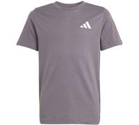 adidas Mercedes-AMG Petronas Formel 1 Team Premium Graphic T-Shirt Kinder JZ9979 - grey strata/frozen green 128