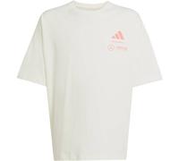 adidas Performance Mercedes AMG Petronas Formel 1 Team Summer Pack Graphic T-Shirt Kinder JX6280 - off white 152