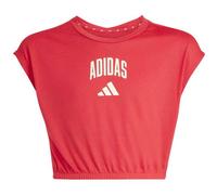 adidas Seasonals Collegiate Typography T-shirt pure ruby-off white (AFDF) 164