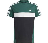 ADIDAS Kinder Shirt Tiberio 3-Streifen Colorblock Cotton Kids (IW3494) 128 CGREEN/BLACK/WHITE
