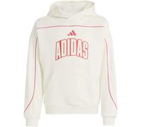 ADIDAS Kinder Kapuzensweat STADIUM HOODY MIT SCHRIFTZUG (KD3437) 164 OWHITE/PURRUB