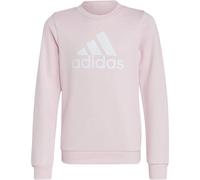 adidas Mädchen Pullover Essentials Big Logo Cotton Sweatshirt IC6119 170 Classic Pink/White