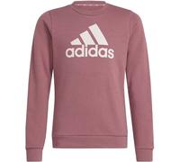 ADIDAS Kinder Sweatshirt Essentials Big Logo Cotton (IZ3434) 170 PRECRI/SANPIN