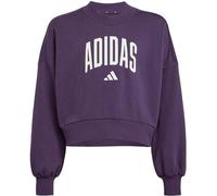 ADIDAS Kinder Sweatshirt Seasonals Essentials Collegiate Typography Crewneck Kids (JV7379) 128 Lila