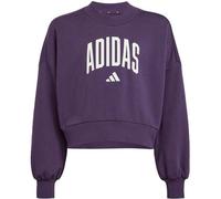 ADIDAS Kinder Sweatshirt Seasonals Essentials Collegiate Typography Crewneck Kids (JV7379) 170 AURPLU/WHITE