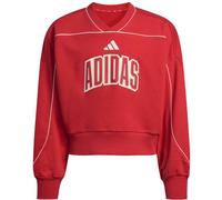 ADIDAS Kinder Sweatshirt STADIUM (KD3451) 170 PURRUB/OWHITE