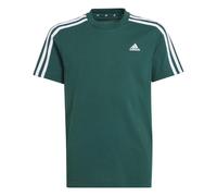 adidas Kinder T-Shirt Essentials 3S Cotton Tee JF8744 140 Collegiate Green