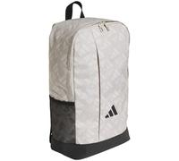 adidas Linear Graphics Rucksack JG1104 - wonder alumina/orbit grey/black