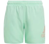Adidas Logo CLX Badeshorts Jungen Badehose, 164