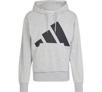 adidas Men's Essentials Big Logo French Terry Hoodie, Medium Grey Heather/Black, M