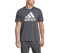adidas Essentials Big Logo T-Shirt HL2248 Herren dunkelgrau / weiß L