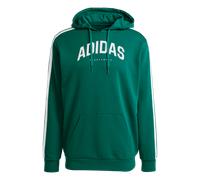 adidas Codes Collegiate Graphic Hoodie Herren JV6506 - collegiate green M