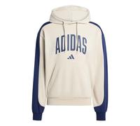 adidas Men's Collegiate Fleece Hoodie, Wonder Alumina/Dark Blue, M