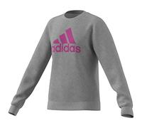 adidas Mädchen Pullover Essentials Big Logo Cotton Sweatshirt IC6118 140 Medium Grey Heather/Selubl