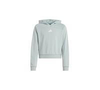 adidas Girl's Junior Girl Holiday Glam Cropped Sweatshirt, Wonder Sage/Silver met., 7-8 Years