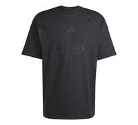 adidas Men's All SZN Embroidered Graphics T-Shirt, Black, XXL